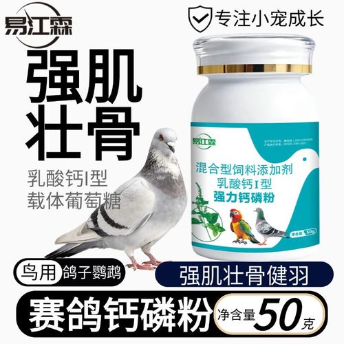 钙磷粉在鸽子养殖中的关键作用 促进换羽、强健骨骼与幼鸽保健指南